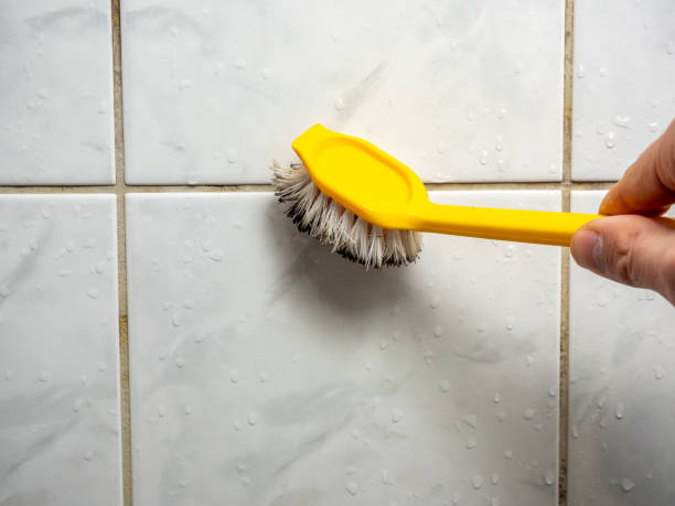 Best Mold Cleaning Services  in Trafford, PA