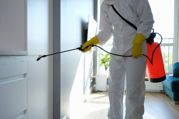 Best Certified Mold Removal  in Trafford, PA